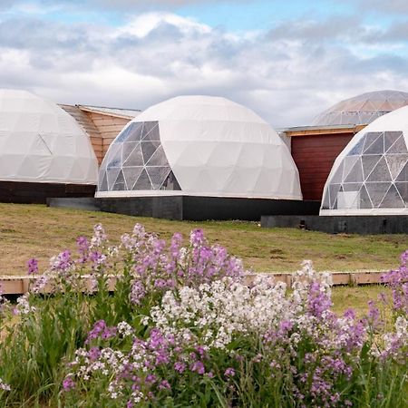 Villa Garden Domes Puerto Natales Exterior foto