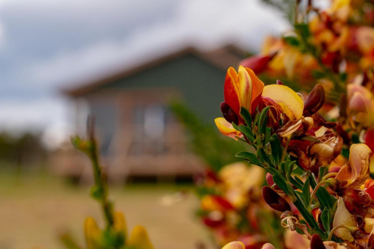 Villa Garden Domes Puerto Natales Exterior foto