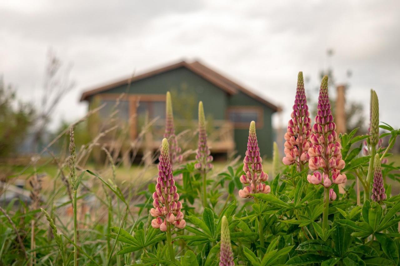 Villa Garden Domes Puerto Natales Exterior foto