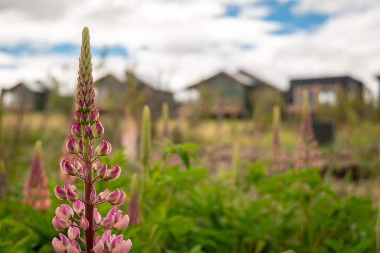Villa Garden Domes Puerto Natales Exterior foto