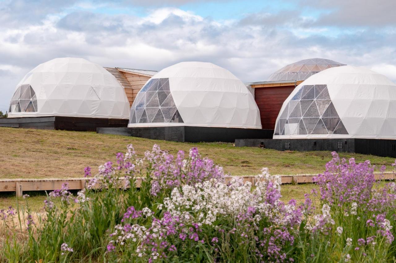 Villa Garden Domes Puerto Natales Exterior foto