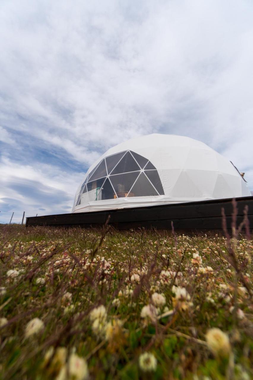 Villa Garden Domes Puerto Natales Exterior foto
